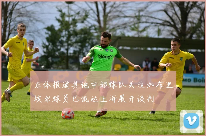 东体报道其他中超球队关注加布里埃尔球员已抵达上海展开谈判